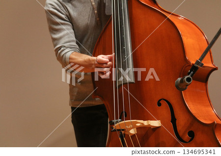 演奏低音提琴的男子 134695341