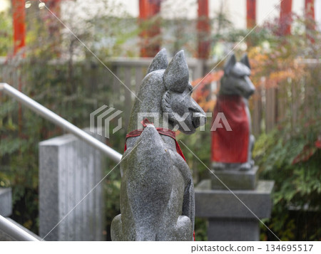 稻荷神社裡被雨水浸透的守護狐狸 稻荷神社裡被雨水浸透的守護狐狸 134695517