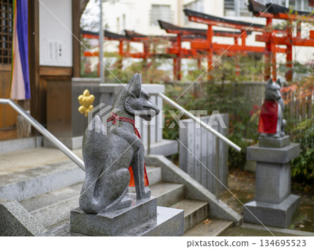 Rain-soaked guardian foxes at Inari Shrine 134695523