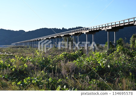 Horai Bridge, the world's longest wooden pedestrian bridge, Shimada City Horai Bridge, the world's longest wooden pedestrian bridge, Shimada City 134695578
