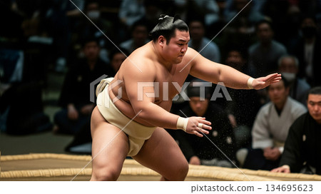 相撲選手 相撲選手 134695623