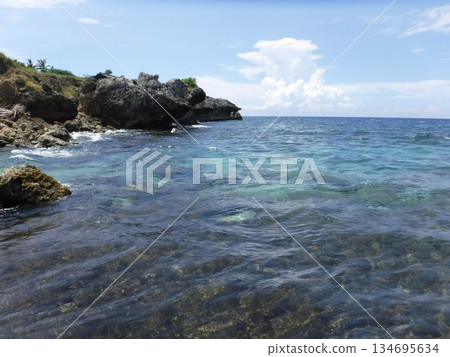 Tropical Blue Lagoon Tropical Blue Lagoon 134695634