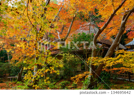 Gioji Temple_9396B 134695642