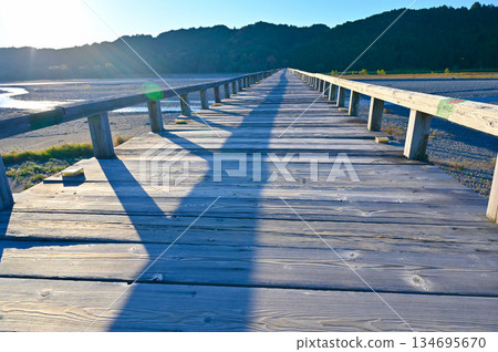 島田市的蓬萊橋是一座木製人行橋 134695670