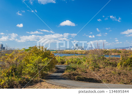 冬天的淀川風景 大阪府枚方市 134695844
