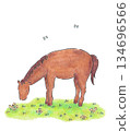 Colored pencil illustration of a horse 134696566
