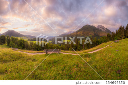 Meadow with road and bench during sunset in Berchtesgaden National Park Meadow with road and bench during sunset in Berchtesgaden National Park 134696850