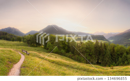 Meadow with road and bench during sunset in Berchtesgaden National Park Meadow with road and bench during sunset in Berchtesgaden National Park 134696855