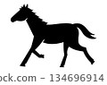 Simple illustration of a horse, Horse, Year of the Horse, New Year's card, 2026, white background, animal, horizontal 134696914