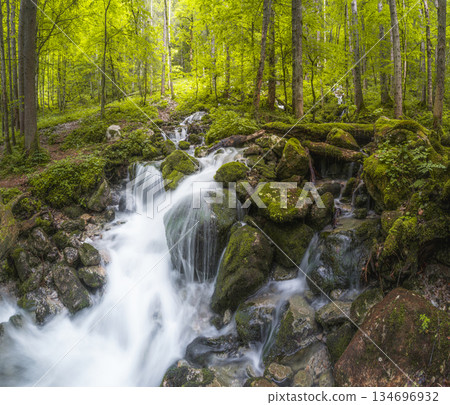 Rothbach Waterfall near Konigssee lake in Berchtesgaden National Park, Germany 134696932