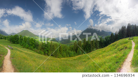 Meadow with road in Berchtesgaden National Park 134696934