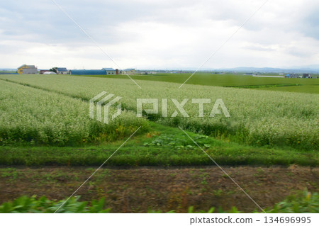Scenery from Fukagawa Station to Chishibetsu Station on the JR Hokkaido Rumoi Main Line 134696995