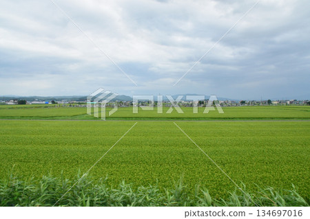 JR北海道留萌本線深川站至知志別站沿途風景 134697016