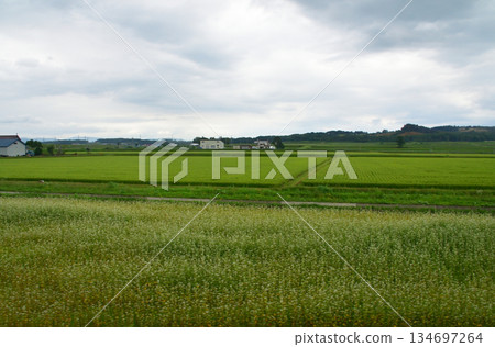 JR北海道留萌本線七方別站至石繹沼田站的風景 JR北海道留萌本線七方別站至石繹沼田站的風景 134697264