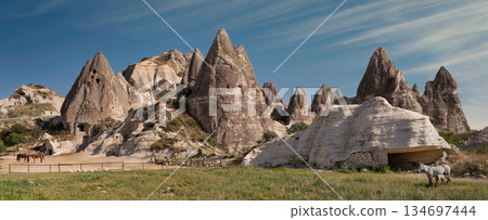 Goreme Fairy Chimneys with Turkish Flag and Horses, Cappadocia, Turkey 134697444