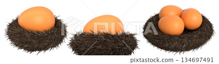 Brown eggs in bird nests isolated on white transparent background. Brown eggs in bird nests isolated on white transparent background. 134697491