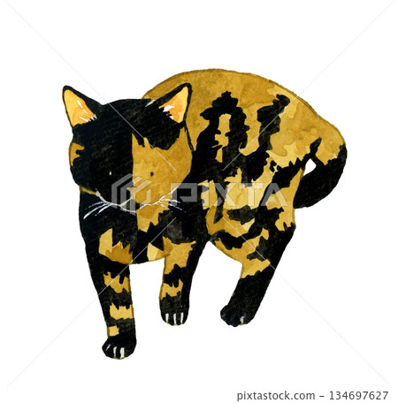 站立（行走）的貓軀幹像 - 手繪水彩寵物和動物插圖 134697627