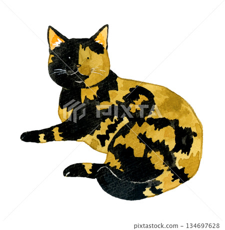 放鬆的貓咪半身像 - 手繪水彩寵物和動物插畫 134697628