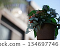 Potted plant decoration attached to a pillar 134697746