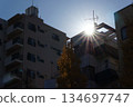 The sun shining through the buildings 134697747