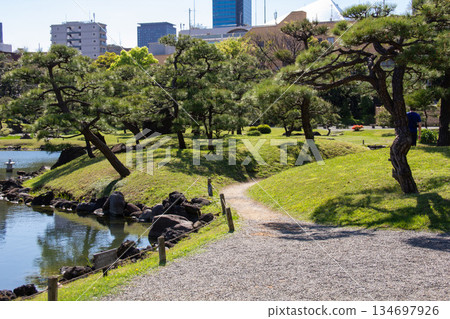 Former Shiba Rikyu Gardens: A path along a pond and a pine forest with fresh greenery 134697926