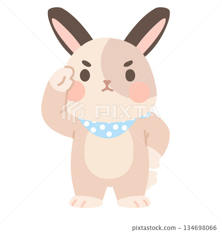 Cartoon Rabbit Saluting with Bandana Illustration 134698066