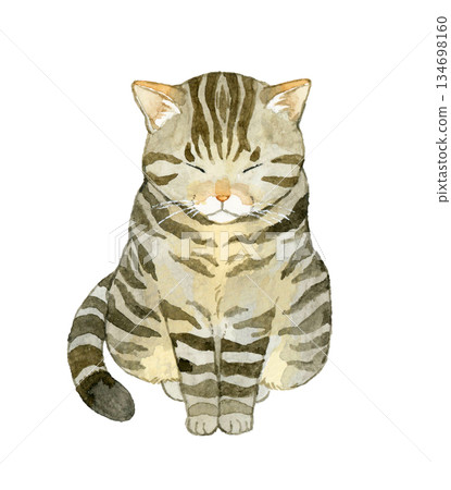 坐著的虎斑貓 - 手繪水彩寵物和動物插畫 坐著的虎斑貓 - 手繪水彩寵物和動物插畫 134698160