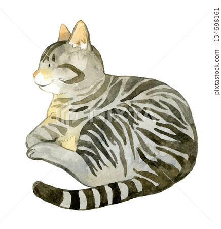放鬆的虎斑貓 - 手繪水彩寵物和動物插畫 134698161