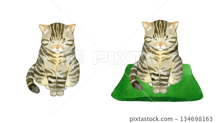 Set of sitting tabby cats. Hand-drawn watercolor illustrations of pets and animals. 134698163