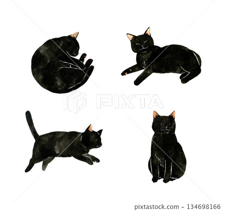 Set of cute black cats - Hand-drawn watercolor illustrations of pets and animals 134698166