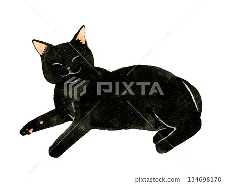 Smiling black cat - Hand-drawn watercolor illustration of pets and animals 134698170