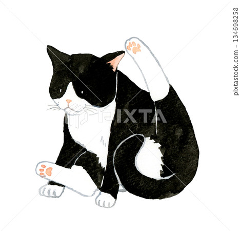 Black and white tabby cat doing a funny pose. Hand-drawn watercolor illustration of a pet or animal. 134698258