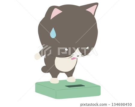 一隻三色貓踩上體重計時受到了驚嚇。 134698450