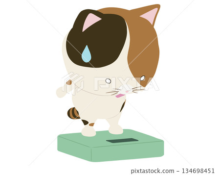 三花貓踩上體重計時觸電了 134698451