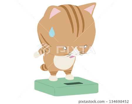 棕色虎斑貓踩上體重計時觸電 134698452