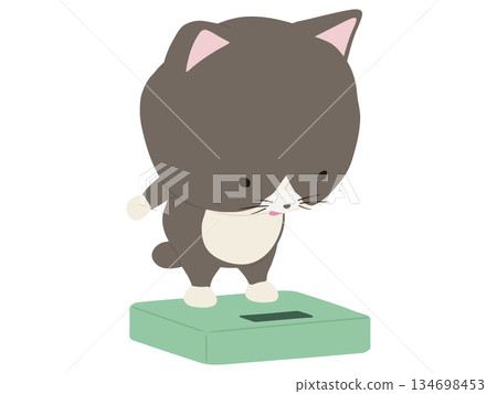 Smiling calico cat on a scale 134698453