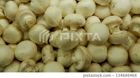 Fresh Raw Paris Mushrooms Just Gathered Detailed Fresh Raw Paris Mushrooms Just Gathered Detailed 134698468