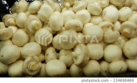 Freshly Harvested Champignons Stock Photo For Mushrooms Backgrounds Freshly Harvested Champignons Stock Photo For Mushrooms Backgrounds 134698469