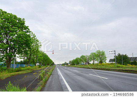 日本最長的直線公路－國道12號沿途風光 134698586