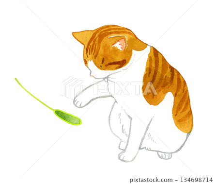 Brown and white cat playing with a cat toy. Hand-drawn watercolor illustration of pets and animals. 134698714