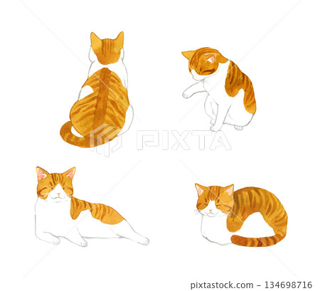 A set of cute brown and white cats. A collection of hand-drawn watercolor illustrations of pets and animals. 134698716