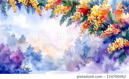 Spring frame of mimosa flowers in a pale watercolor style illustration 134700062