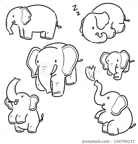 vector set of elephant vector set of elephant 134700237