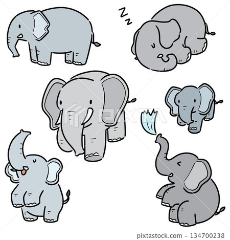 vector set of elephant 134700238
