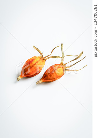 Gardenia fruit on a white background 134700261