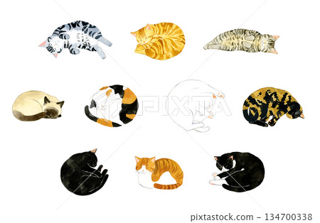 Set of cute sleeping cats - Hand-drawn watercolor illustrations of pets and animals Set of cute sleeping cats - Hand-drawn watercolor illustrations of pets and animals 134700338