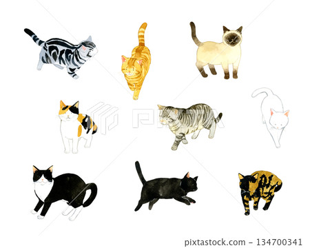A set of cute cats in various colors and patterns. A collection of hand-drawn watercolor illustrations of pets and animals. 134700341