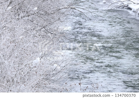 冬季:寒冷的冬日早晨:河畔森林覆蓋著銀霜 冬季:寒冷的冬日早晨:河畔森林覆蓋著銀霜 134700370