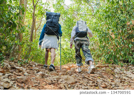 Hiker couple walk autumn forest mountain path, young people hike travel nature exploring green woods uphill with backpacks Hiker couple walk autumn forest mountain path, young people hike travel nature exploring green woods uphill with backpacks 134700591
