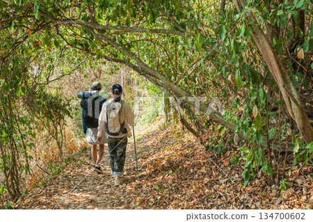 Travel, young couple hike autumn forest path, enjoying peaceful nature walk, people explore mountain trail, carrying backpacks, trekking poles, experiencing refreshing wilderness Travel, young couple hike autumn forest path, enjoying peaceful nature walk, people explore mountain trail, carrying backpacks, trekking poles, experiencing refreshing wilderness 134700602